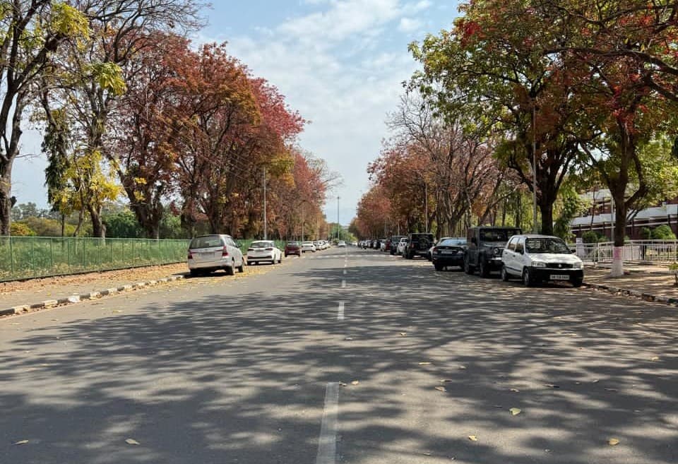 Panjab University Chandigarh Campus photo 5